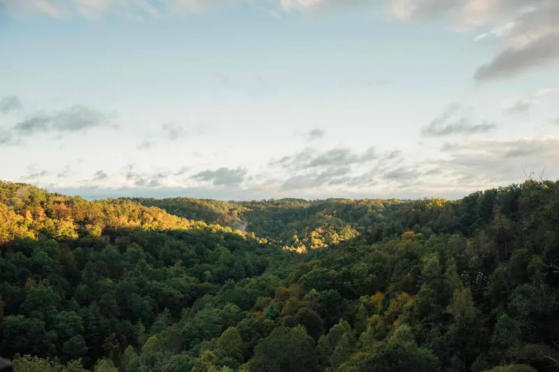 Wide view over the forested Red River Gorge under a soft evening sky
