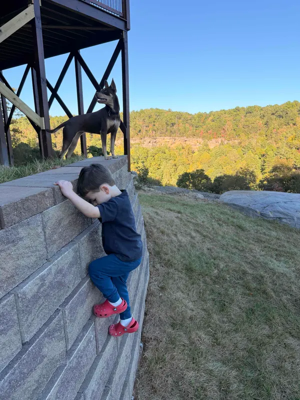 A child climbing a stone retaining wall below the deck while a dog looks out toward sandstone cliffs and fall forest