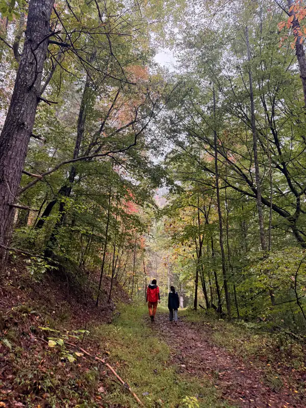 Two hikers walking a leafy forest trail under tall trees turning fall colors