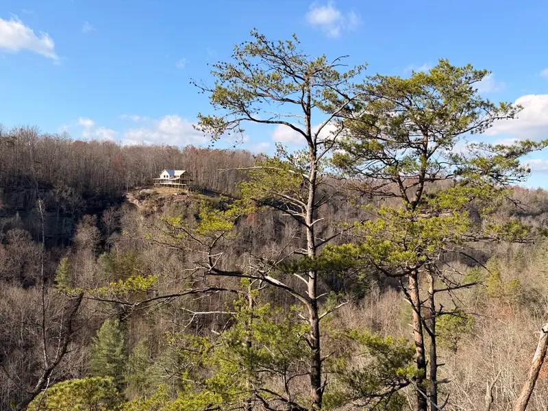 Pine trees in the foreground and a forested gorge, with Red River Château visible on the far ridge