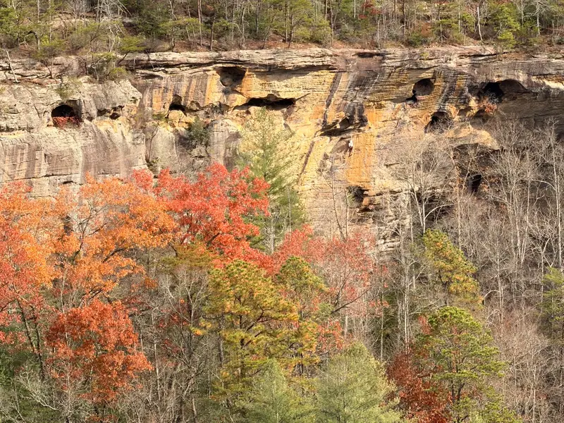 Tall sandstone cliff with orange and yellow fall foliage in the Red River Gorge